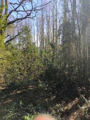 Venta-de-Parcela-en-Panguipulli-EL-MONGE